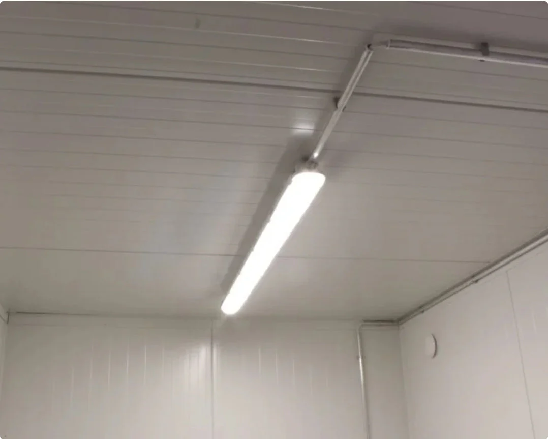 10-Fuß Kühlcontainer – Bild 3